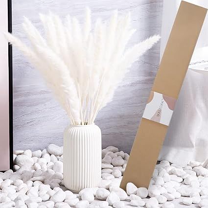 21.65" Dried White Pampas Grass 30 Pcs(Packed Alone), Natural Home Decor & Ideal for Flower Arran... | Amazon (US)