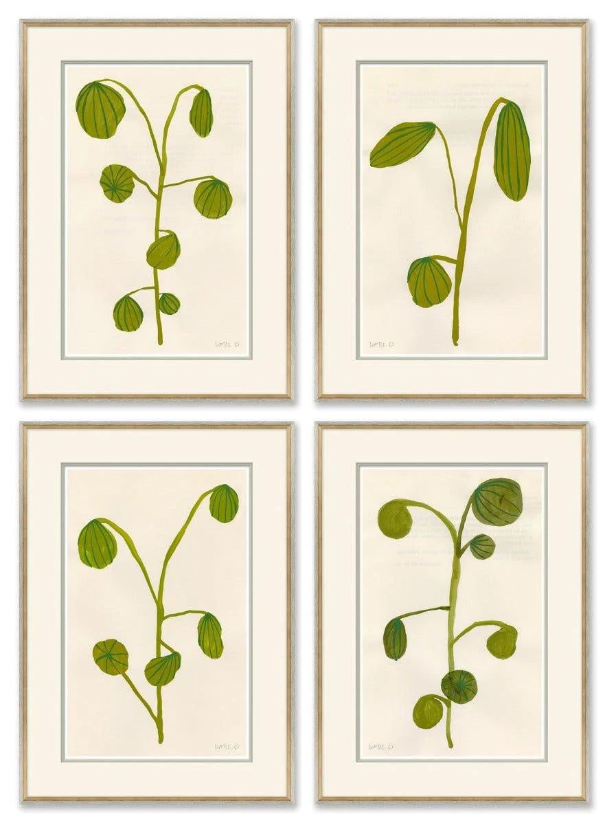 Set of Four Green Fruity Plants Framed Wall Art Soicher Marin | The Well Appointed House, LLC