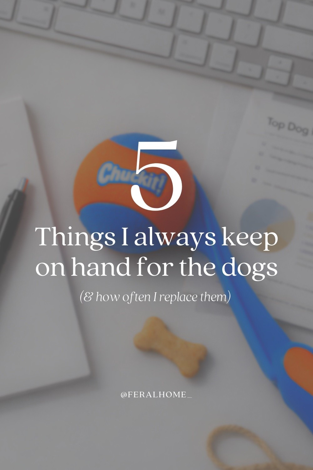 5 favorites! 
_
All the best things in our house 

1. First aid is #1. We keep these on hand and new, 24/7. I love @dogswell - they have a line that covers just about anything you’d need 

2. Chuck-it sticks go hard in our house 🤣 so hard they tend to get lost or left behind. These are the dogs favorites so every spring/summer I’ll grab a bucket

3. @lesurepet blankets are to die for. Vadah loves her blankets so hard they tend to turn into Swiss cheese with all the holes, these are the best ones we’ve found. They last and are amazingly durable and waterproof 

4. Bone marrow is kept in stock alongside the food. These are beyond an enrichment must have they are packed with nutrients these dogs need especially in these colder months 

5. Muslin blankets (yes I really mean that) these I’ve found to be so nice on the skin, we’ve been dealing with some severe dry skin around here and these just help keep the dogs beds and skin dry and clean. I replace them decently often but they’re primarily for the winter months and are so worth it. Vito especially has had severe dry skin issues and these have helped the irritation and heat retention that came with his fleece blankets 
#LTKPets #LTKDogs

#LTKvlog #LTKmorningroutine #LTKdayinmylife