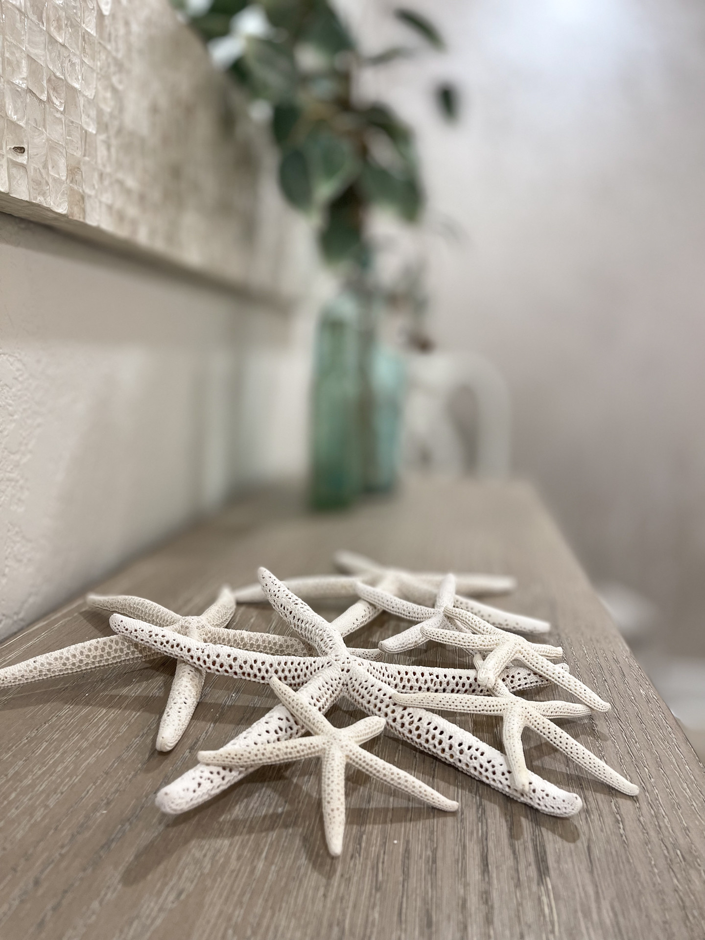 🌿 Coastal Calm Refresh
Bringing a touch of the coast indoors with these gorgeous Silver Dollar Eucalyptus stems! 🌊 I love how the soft, dusty green leaves add instant life and movement to any corner. They look incredibly realistic and pair perfectly with these delicate white sea stars for a subtle, beachy vibe. 🐚

Whether you're styling a mantel, entryway, or bathroom, this combo is the ultimate "effortless" decor. The best part? These stems stay fresh-looking year-round with zero maintenance! ✨

Shop the Look:
Faux Silver Dollar Eucalyptus Stems: Realistic, high-quality foliage for an organic touch.

Aqua Glass Vase: A stunning, hand-blown vessel that perfectly complements the greenery.

Decorative White Sea Stars: Real white finger starfish (approx. 2-7") to complete the coastal aesthetic. 
 

 #LTKHome