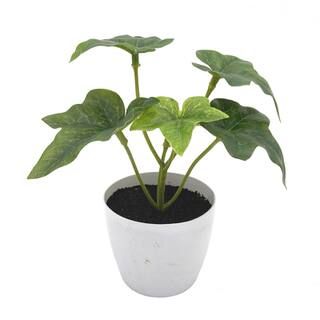 6" Potted Sage Ivy Plant by Ashland® | Michaels | Michaels Stores