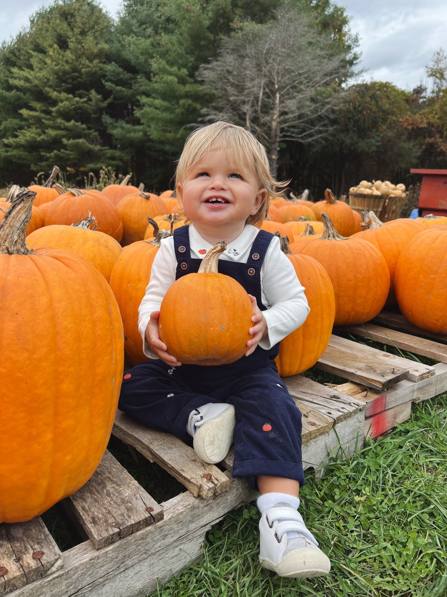 My perfect pumpkin 🎃 the cutest little fit for the pumpkin patch! Snoopy approved with all of the cutest options! 

#LTKBaby #LTKSeasonal #LTKKids