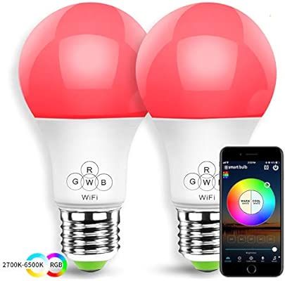 HaoDeng Smart LED WiFi Light, e27 a19 Edison Bulb 2 Pack -Timer & Sunrise & Sunset - Dimmable, Mu... | Amazon (US)