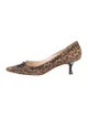 Leopard Pointed-Toe Pumps | The RealReal