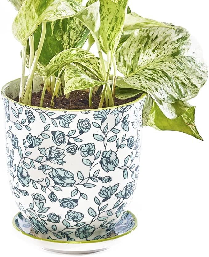 Chive ‘Liberte’ Ceramic Planter Pot — Cute 4.25" Succulent Pots for Indoor & Outdoor House ... | Amazon (US)