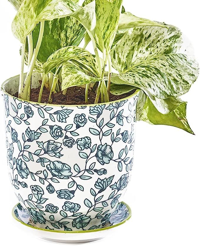 Chive ‘Liberte’ Ceramic Planter Pot — Cute 4.25" Succulent Pots for Indoor & Outdoor House ... | Amazon (US)