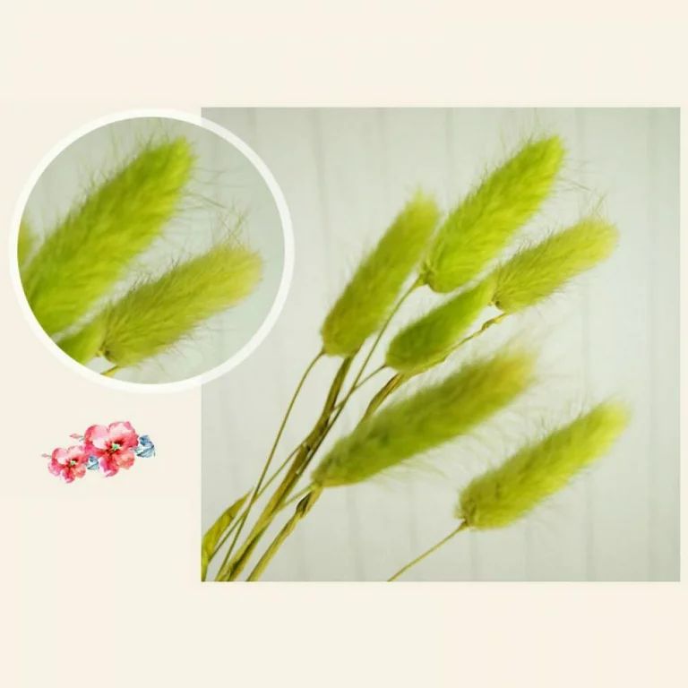 50Pcs Natural Rabbit Tail Grass,Elegant Boho Home Decor for Home, Wreaths, Vase, Wedding,Christma... | Walmart (US)