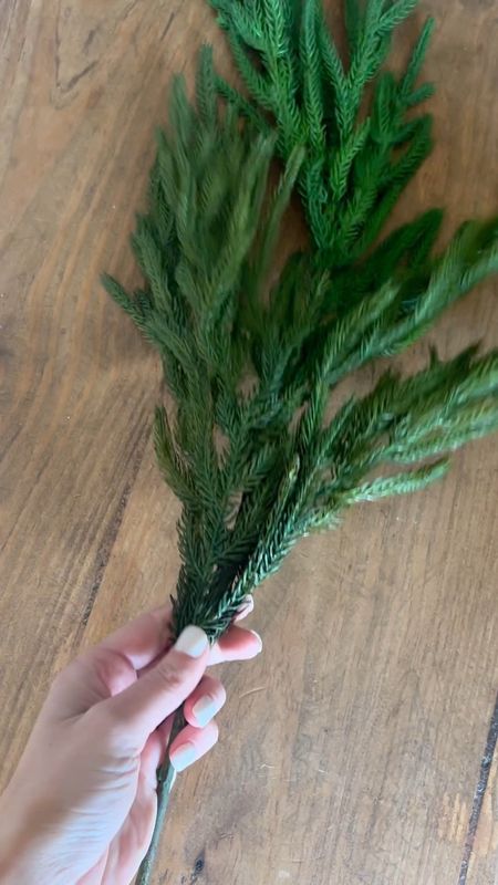 DIY SWAG - under $10 and takes minutes 

i bend the stem on my Norfolk pine stems put two together & wrap in floral wire. use wire cutters to cut the tail of stem off & add pretty ribbon. so easy & inexpensive to make! 
My Norfolk stems are large full & on sale for $7.50!! my brown satin ribbon under $2!

#LTKhome #LTKsalealert #LTKHoliday