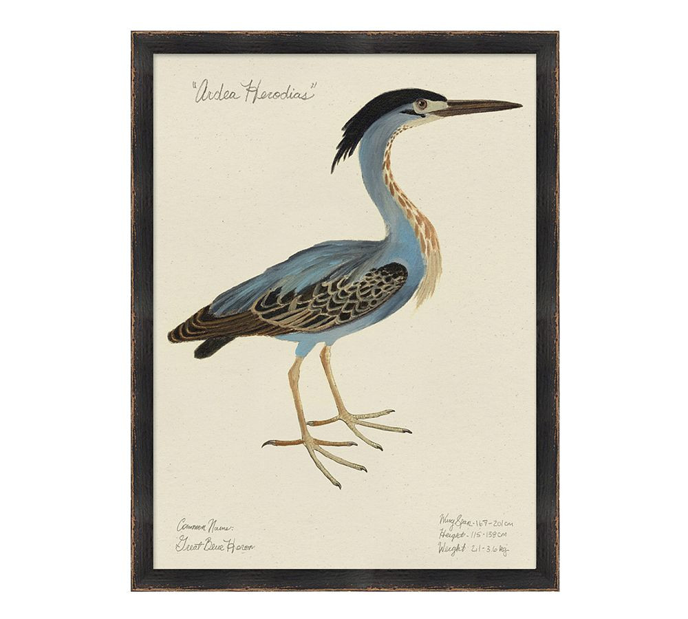 Great Blue Heron Print | Pottery Barn (US)