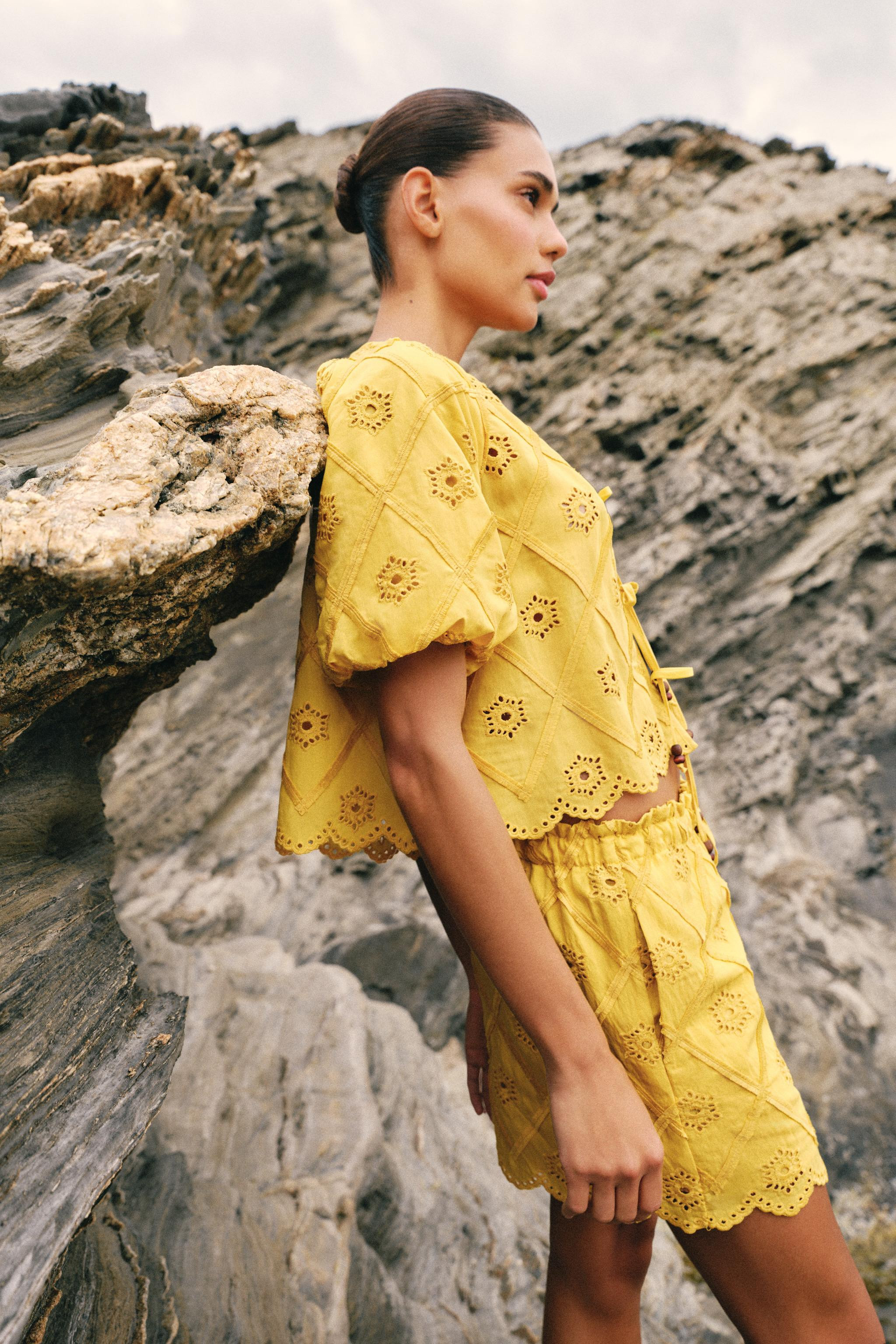 EMBROIDERED EYELET TOP | Zara US