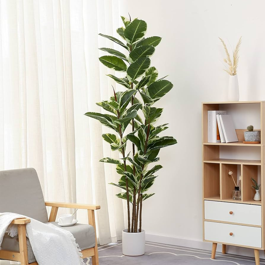 FLOWORLD Artificial Rubber Tree Plant 6ft Tall Faux Ficus Tree Potted Fake Tropical Plants Decora... | Amazon (US)