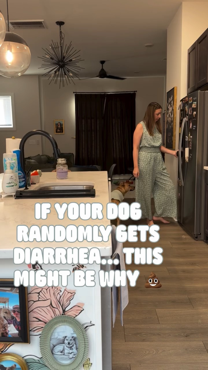 If your dog gets diarrhea out of nowhere… 💩
this might be why.

I finally figured out what we were missing.

Navi drinks filtered water from the fridge like the tiny queen she is 👑
won’t even touch sink water.

…but her dog bowl was the problem.

That slippery film inside it is biofilm (bacteria buildup) 🤢
and suddenly those “random” stomach issues didn’t feel so random anymore.

Because it doesn’t matter how ✨clean✨ the water is
if the bowl itself isn’t.

Now I do:
• hot water + soap
• quick daily dog bowl wash
• fresh refill

Takes 30 seconds and saves me from the 2am panic spiral 🫠

Honestly sharing because I had no idea this was a thing—and if you’re a dog mom/dad, you probably didn’t either.

⸻

🔍

dog diarrhea causes | dog stomach issues | dog health tips | dog bowl cleaning | biofilm in dog bowl | pet hygiene routine | dog owner tips | healthy dog habits | dog mom tips | pet care routine

⸻

🏷️

#dogmomlife #doghealth #dogtips #petcaretips #dogsofinstagram