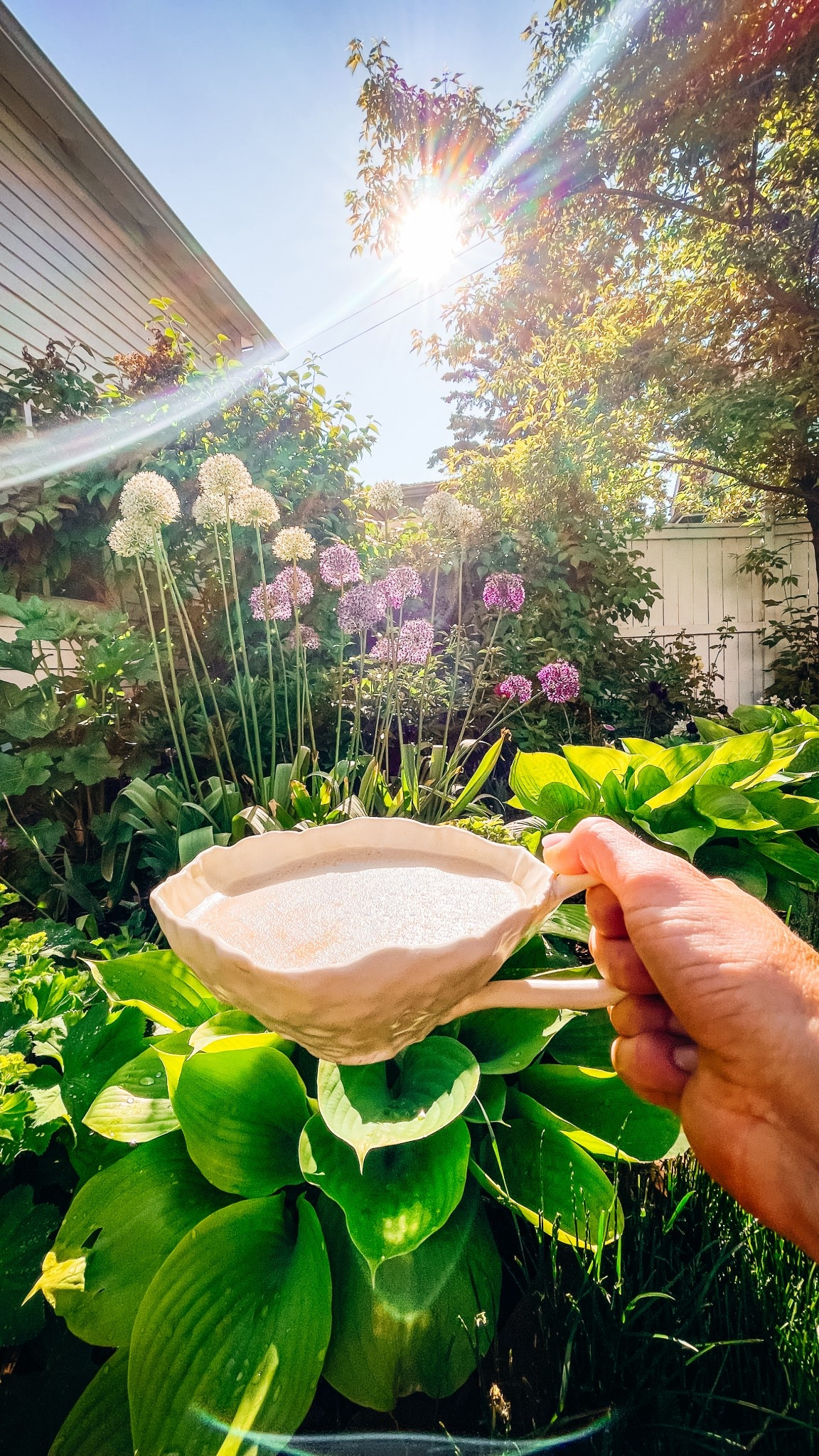 Coffee views ☕️

#LTKHome