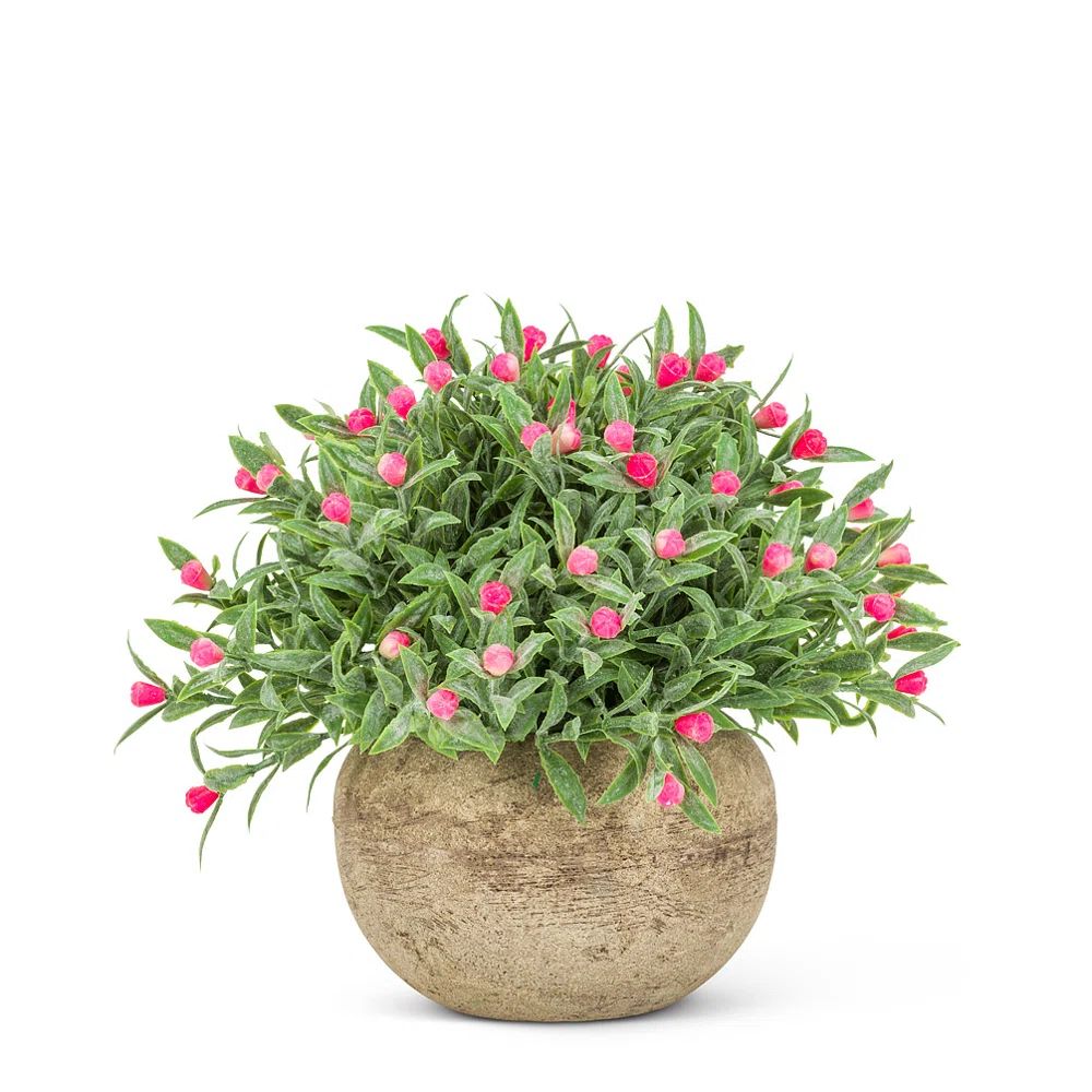 5.5'' Faux Flowering Plant in Pot | Wayfair North America