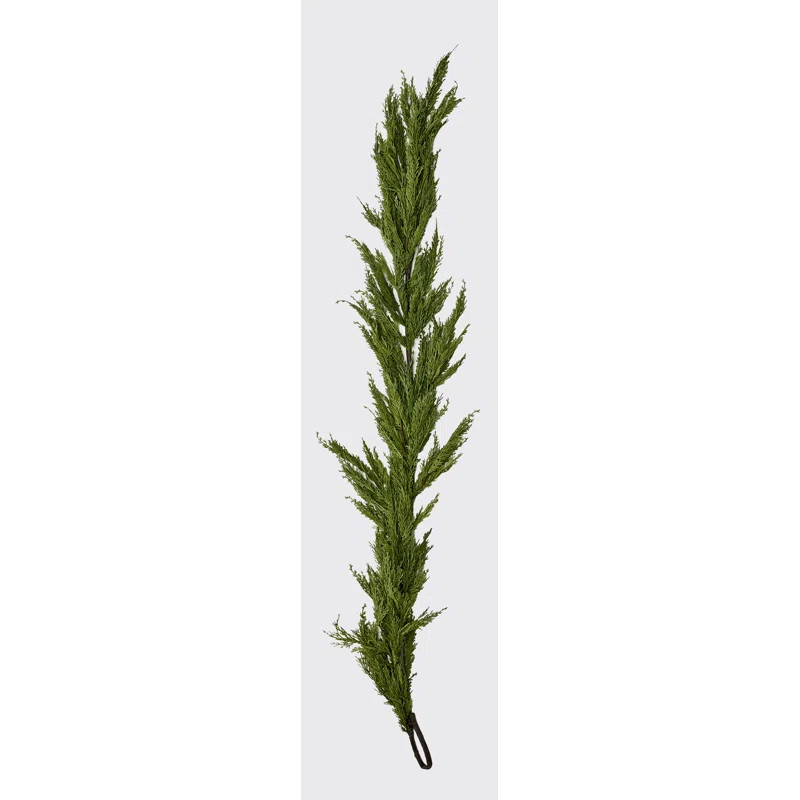The Holiday Aisle® 6' Cedar Garland & Reviews | Wayfair | Wayfair North America