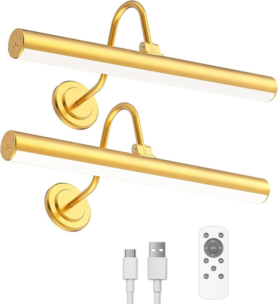 Bridika 2 Pack Picture Light Battery Operated, Picture Light for Wall with Remote, 3 Color Modes ... | Amazon (US)