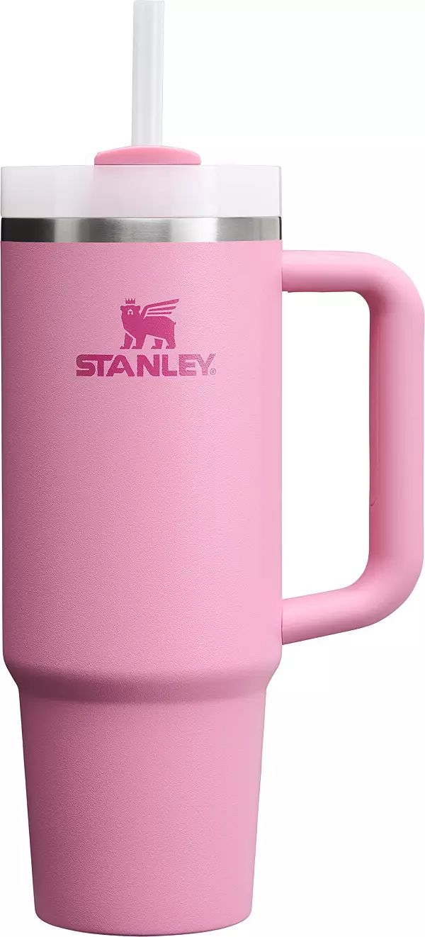 Stanley 30 oz. Quencher H2.0 FlowState Tumbler | Dick's Sporting Goods | Dick's Sporting Goods