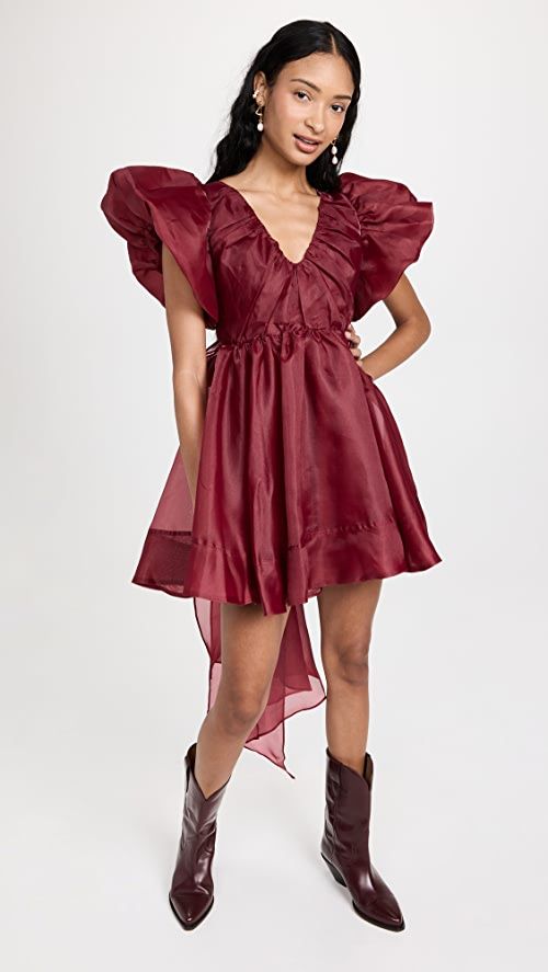 Aje Gretta Organza Mini Dress | SHOPBOP | Shopbop