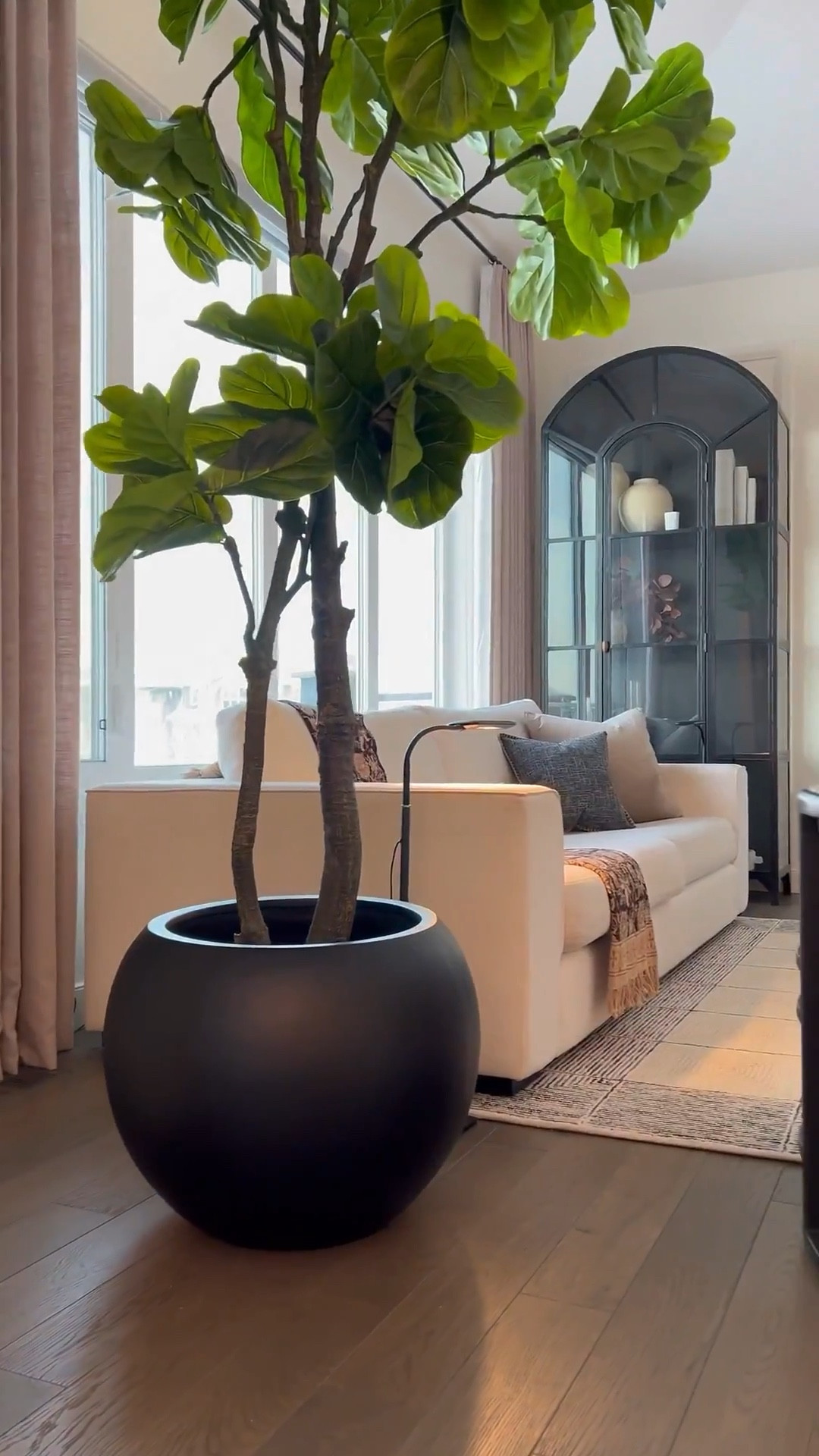 Sharing all my favorite home decor finds in one place 🤍 Tap to shop the pieces I’ve styled throughout my home—neutral tones, cozy textures, and timeless details you’ll love.

Planter sizes: 

Olive tree has the medium planter. Fiddle tree has the large size ☺️

#LTKStyleTip #LTKHome #LTKSaleAlert