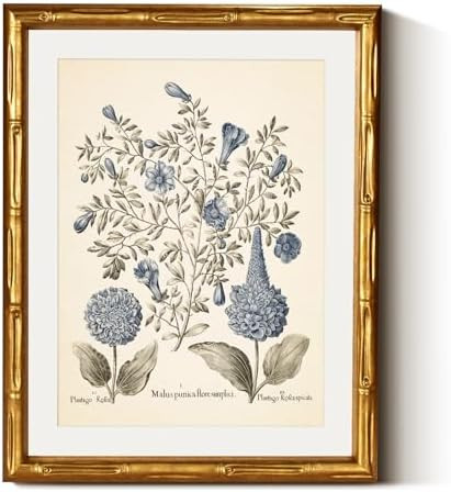 InSimSea Gold Bamboo Framed Canvas Wall Art, Retro Blue Hydrangea Botanical Prints, Antique Flowe... | Amazon (US)