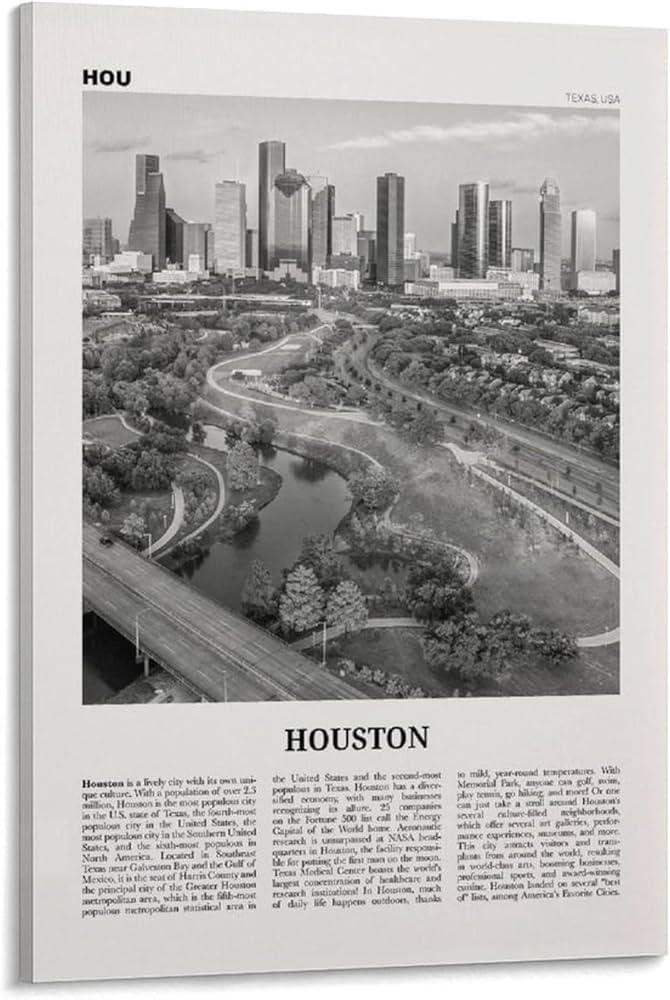 KAYAMU Houston Print Black and White View, Houston Wall Art, Houston Poster, Houston Photo, Houst... | Amazon (US)