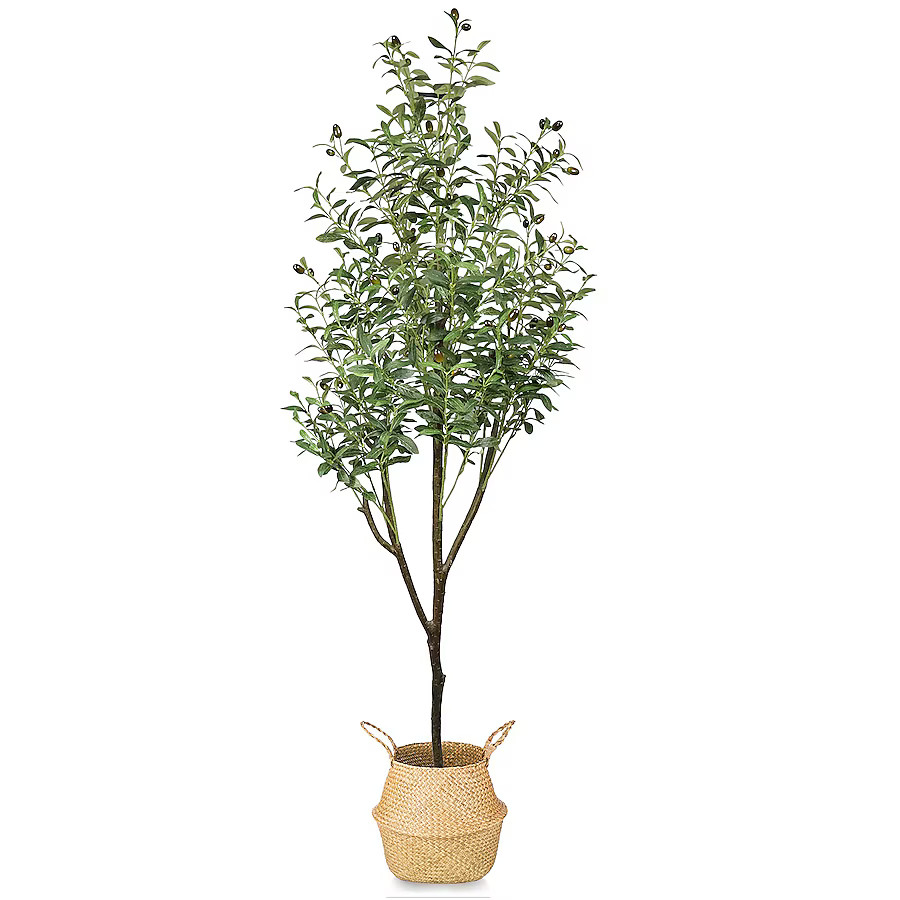 HomLux 70-in Green Indoor/Outdoor Olive Artificial Tree | Lowe's