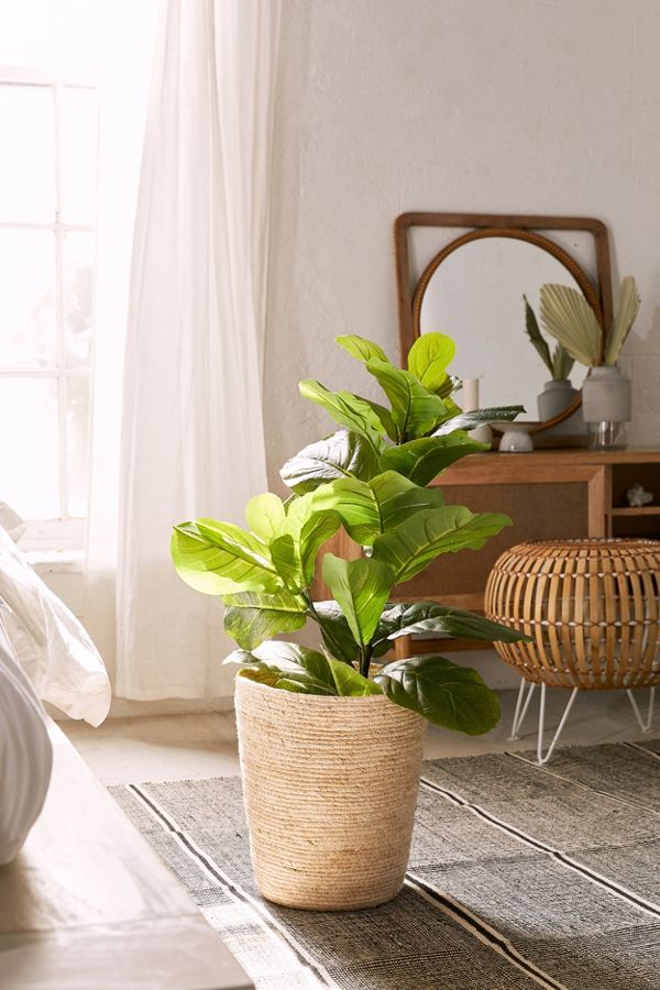 Fiddle Leaf Potted Faux Plant | Urban Outfitters (US and RoW)