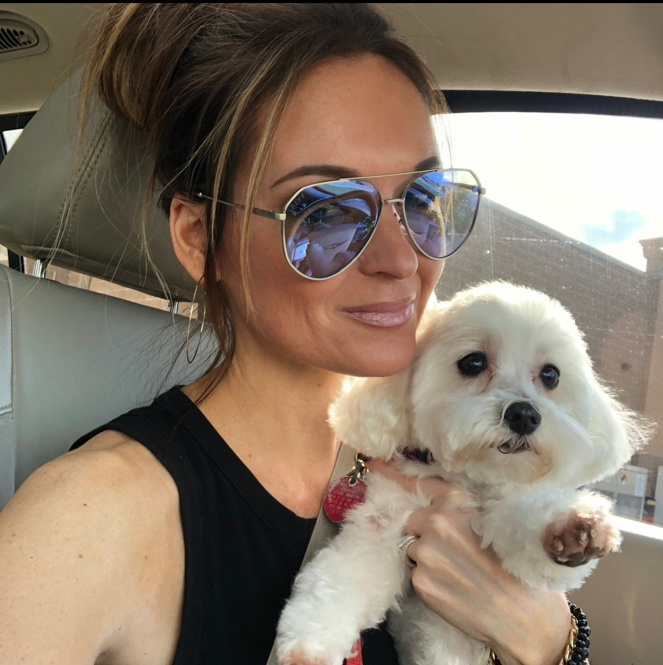 Pet Favorites 🐶  #pets #dogs

#LTKselfcare #LTKdayinmylife #LTKU