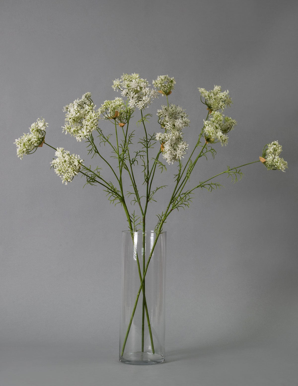 Faux Queen Anne's Lace Stems Trio White | The Sill
