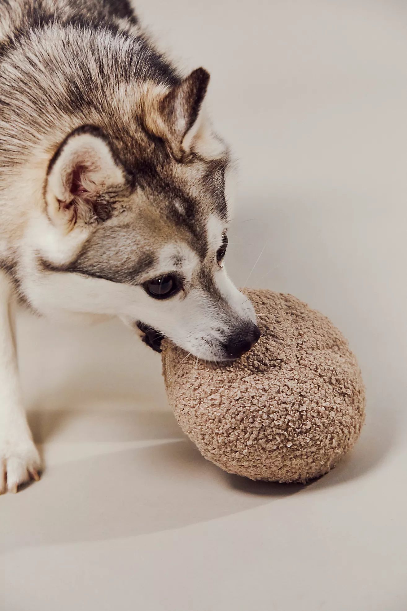 Lambwolf Guu Mushroom Dog Toy | Free People (Global - UK&FR Excluded)