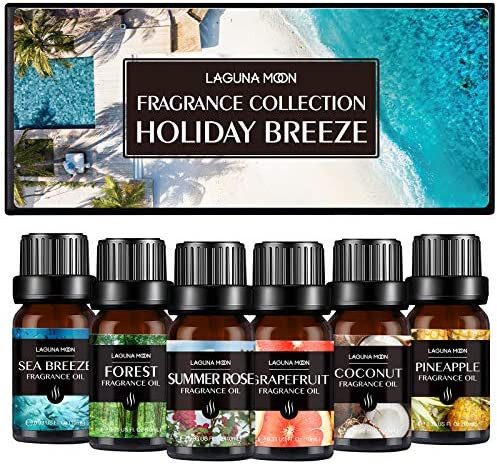 Fragrance Essential Oil - Organic 6pc Holiday Breeze Scent Gift Set - Perfect for Candle Making, ... | Amazon (US)