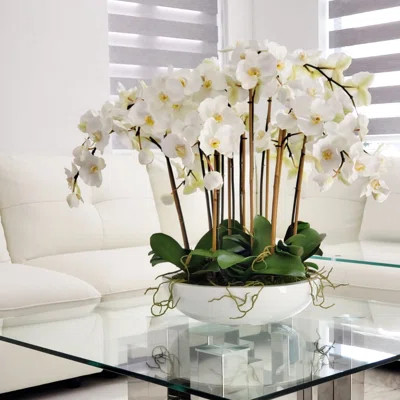 Orchids Centerpiece in Pot Everly Quinn | Wayfair North America