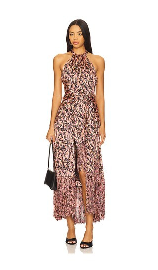 Charming Paisley Teresa Dress in Obsidian Multi | Revolve Clothing (Global)