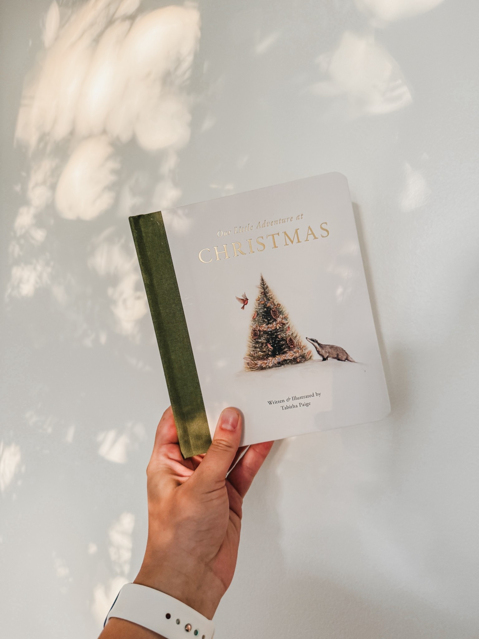 Sweetest new Christmas book from Tabitha Paige 😍 

#LTKHoliday #LTKKids #LTKSeasonal