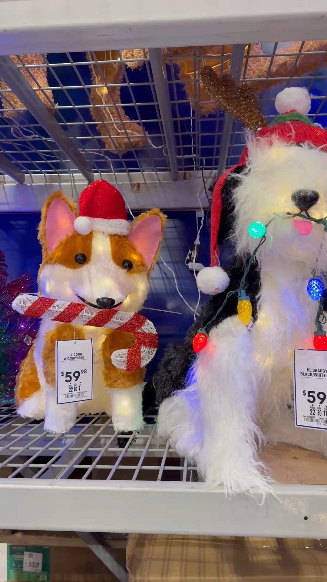 Cutest Christmas decor for the dog lovers😍

#LTKHome #LTKHoliday #LTKCyberWeek