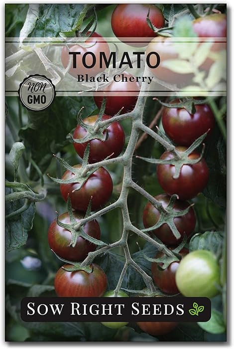 Sow Right Seeds - Black Cherry Tomato Seeds for Planting - Non-GMO Heirloom Packet with Instructi... | Amazon (US)