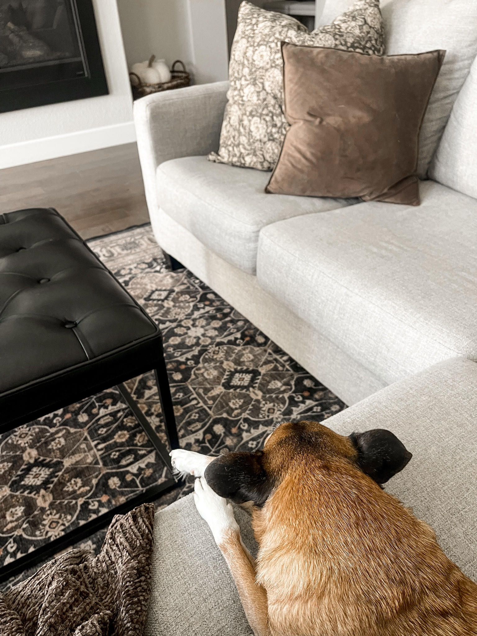 Rug | Fall Decor | Living Room | Living Room Decor | Neutral Home 

#LTKHome #LTKSeasonal