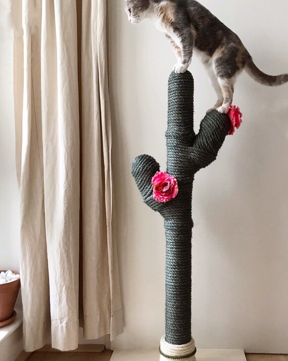 CACTUS for CATS | CATCUS | Dark Green Army | Etsy (US)