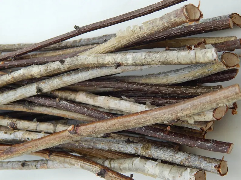 Birch branches 40 pcs, birch tree decor, natural branch, wooden twigs, Craft sticks, decorative b... | Etsy (US)