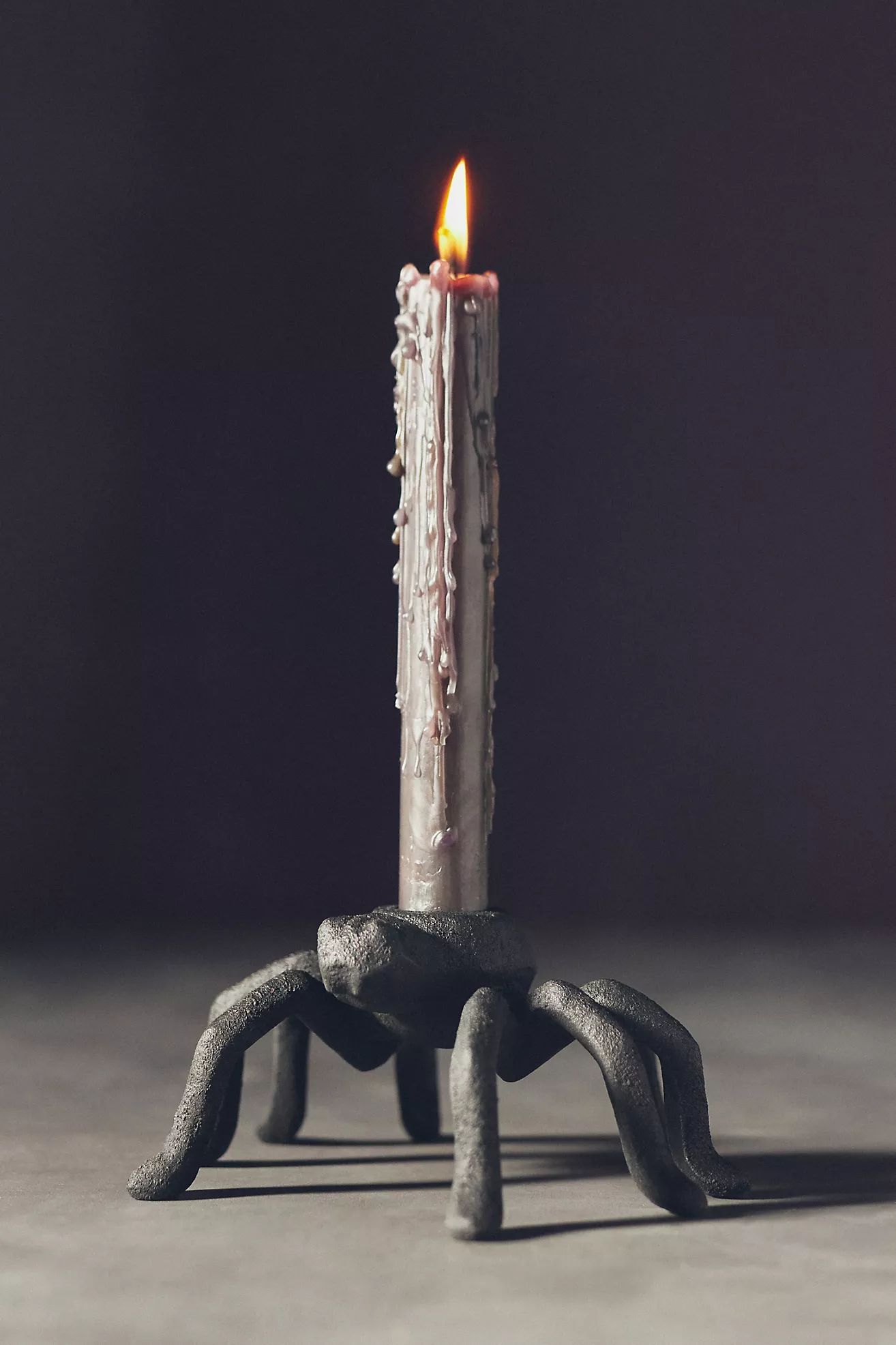 Spider Taper Candle Holder | Anthropologie (US)