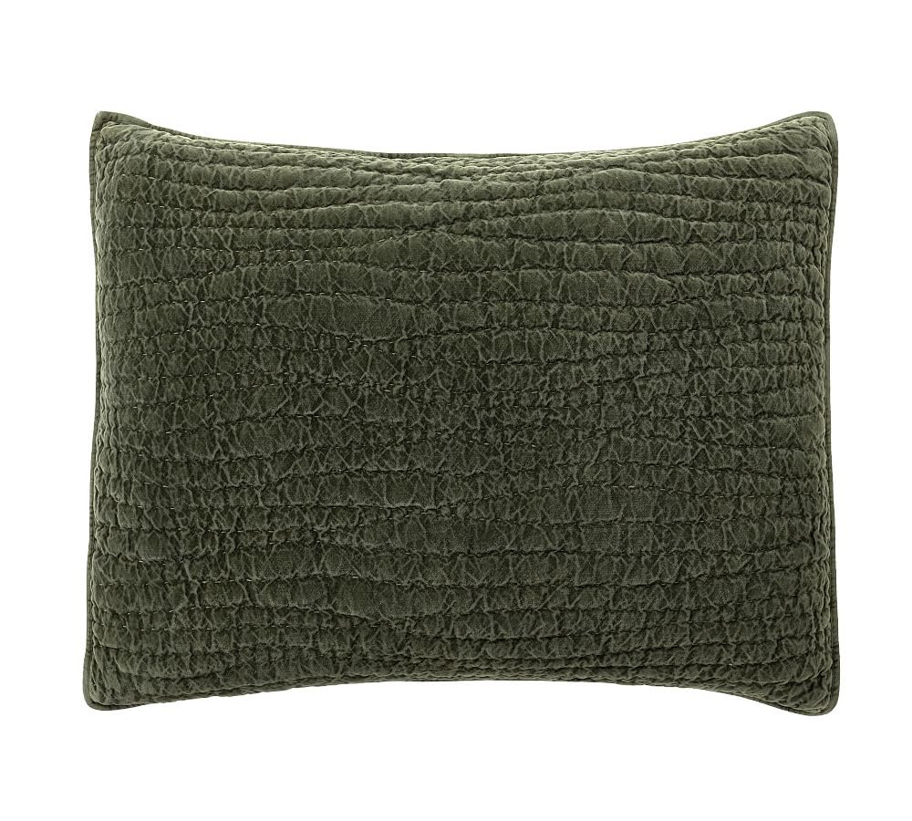 Washed Velvet Handcrafted Quilted Sham | Pottery Barn (US)