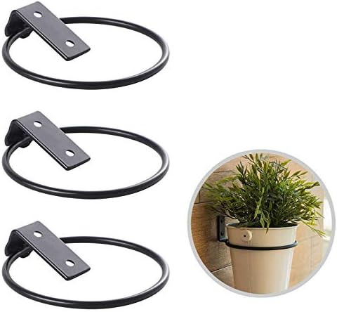 6 inch Hanging Plant Stand Heavy Duty Metal 3 Pack Flower Plant Pot Support Holder Ring Fit for O... | Amazon (US)