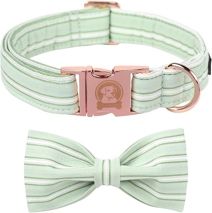 Green Dog Collar with Bowtie, Cute Pet Collar for Girl Boy Female Dogs, Adjustable Cotton Puppy C... | Amazon (US)