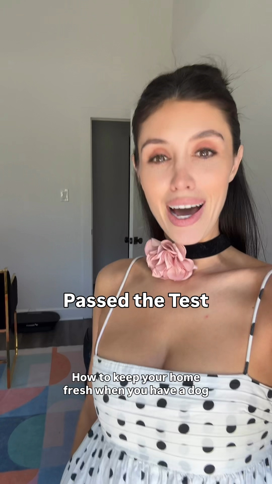 Dog odor elimination 

#LTKmorningroutine #LTKselfcare #LTKHome