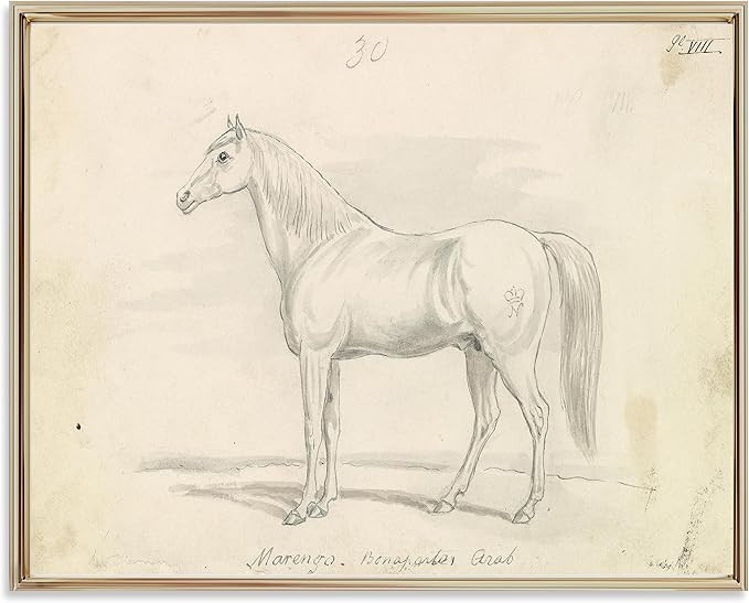 Equestrian Wall Decor - Horse Art Print for Home Decor - Antique Horse Riding Wall Artwork Decora... | Amazon (US)