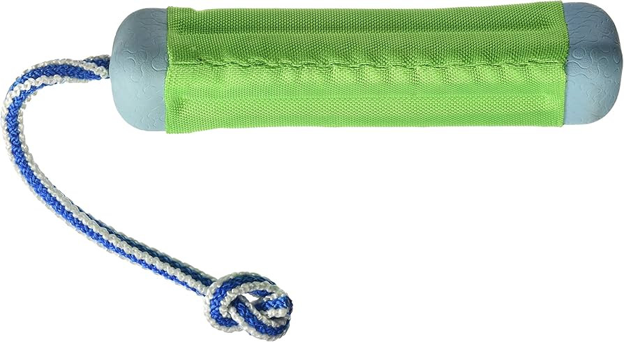 Chuckit Amphibious Bumper Dog Toy (Colors May Vary) | Amazon (US)