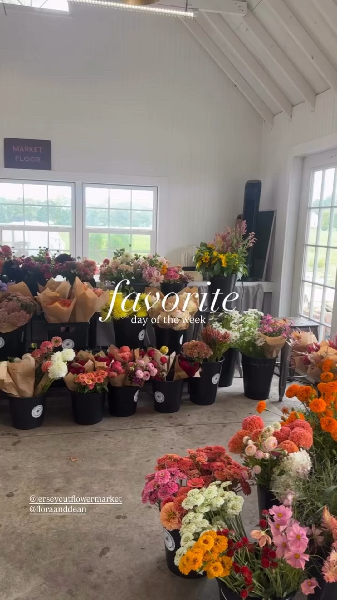 favorite day of the week @jerseycutflowermarket 
@floraanddean ✨ #weddingflowers #flowers #flowerfarm 

#LTKSeasonal #LTKFallSale #LTKWedding