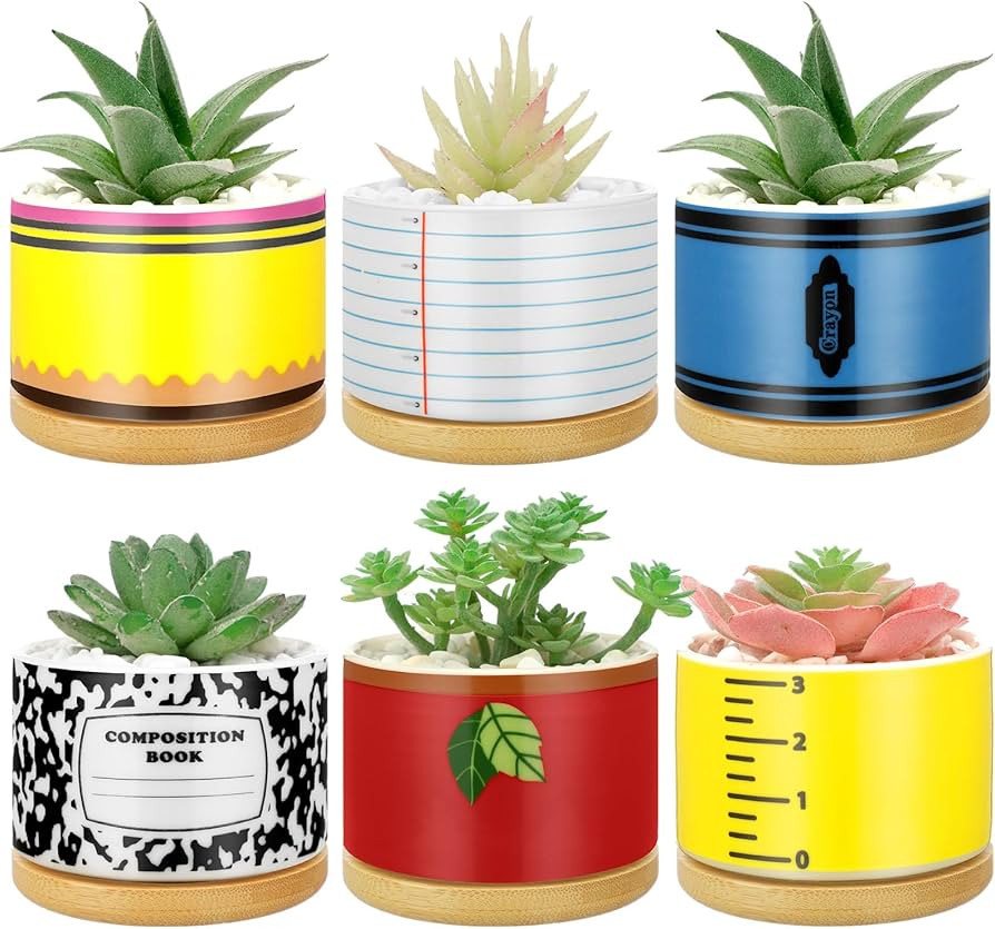 Remerry 6 Pcs Teachers Appreciation Gift Ceramic Succulent Plant Pot with Bamboo Tray Mini Succul... | Amazon (US)