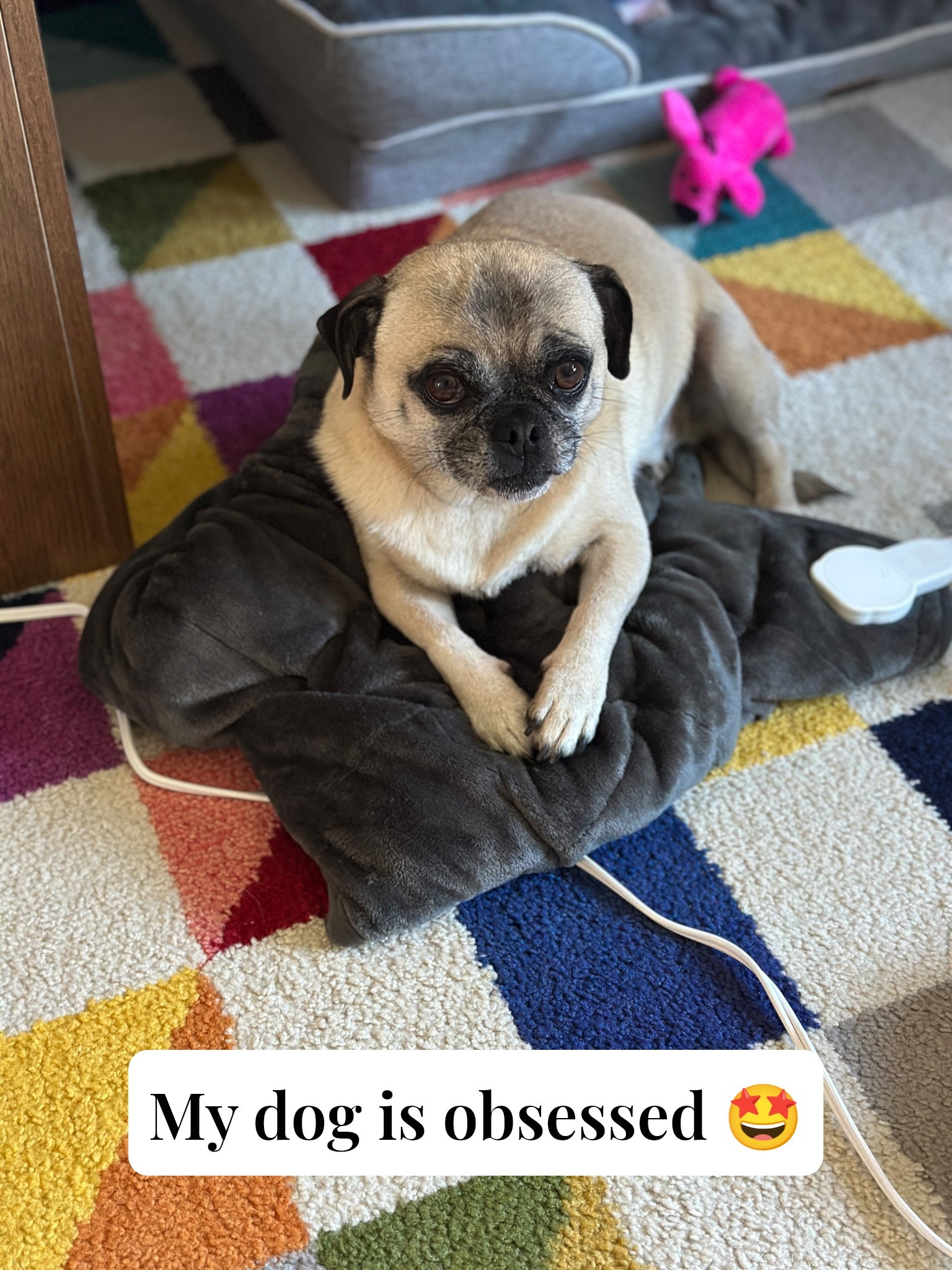 I freaking love this weighted heating pad. So nice for working from home during the winter. Also amazing for pets! My pug steals this from me every time I set it down. Great last minute gift from Amazon, under $50.

#LTKGiftGuide #LTKFindsUnder50 #LTKHoliday