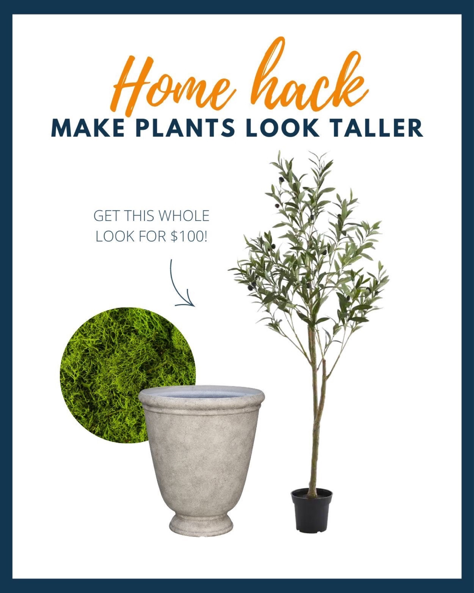 Did you know you can easily make plants look taller?? Our Hip sidekick, Lina, recently bought this tall, narrow planter to pair with her under $70 olive tree! By filling the bottom of this planter with whatever you have laying around you can get so much more height with this genius hack! Fill in the gaps and top with faux moss for a high end look for less! 🤩🤩🤩 
Shop this entire look for just $100! 😱🔥

#LTKunder100 #LTKstyletip #LTKhome